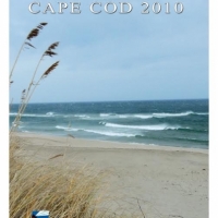 2010
