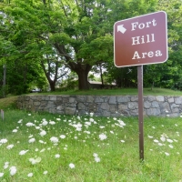 Andrea Daniels - Fort Hill 2017 IMG_4939