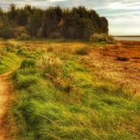 Mel Tulin - Trail 2017