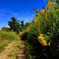 Mel Tulin - fort hill hike 2017