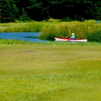 Mel Tulin - kayak boat meadow 2017