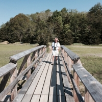 Mel Tulin - salt marsh boardwalk 2017