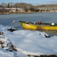 Rich Quinn - Salt Pond Snow 2017